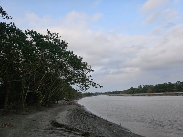 20250423_172411.jpg