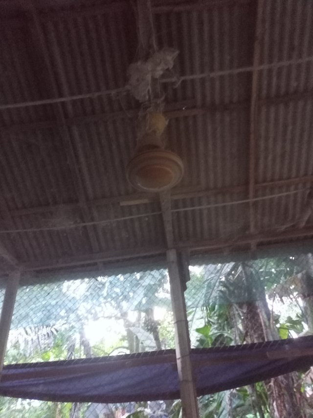 IMG20250817182723.jpg