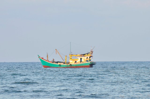 _AHW8606.jpg