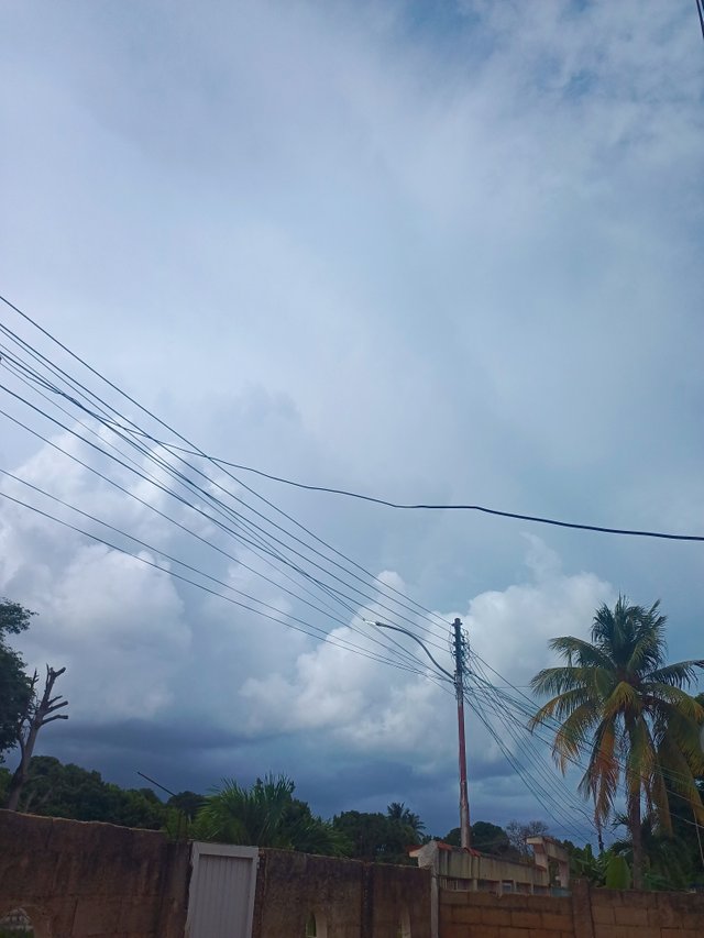 IMG_qdjxm.jpg