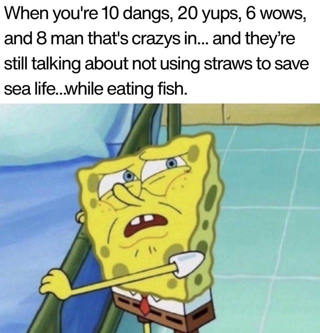 525896696_1296685678784398_4936968641743323105_n.jpg