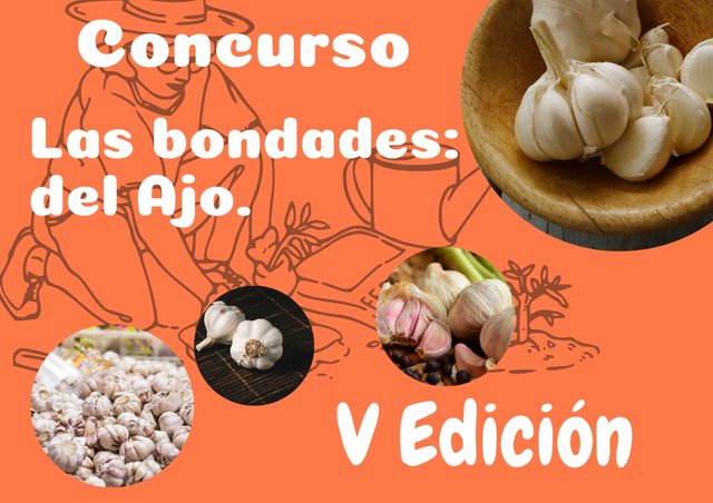 Desafío Culinario Un viaje de sabores título_20250604_231544_0000.jpg