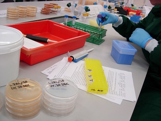 Lancaster_University_Biology_253_Lab.jpg