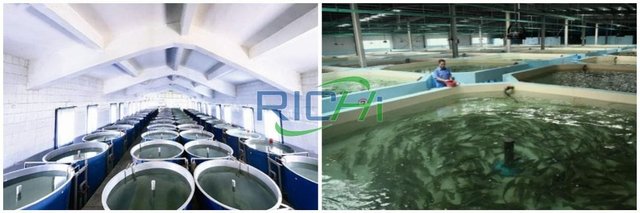 floating fish feed processing line fish feed plant project report.jpg