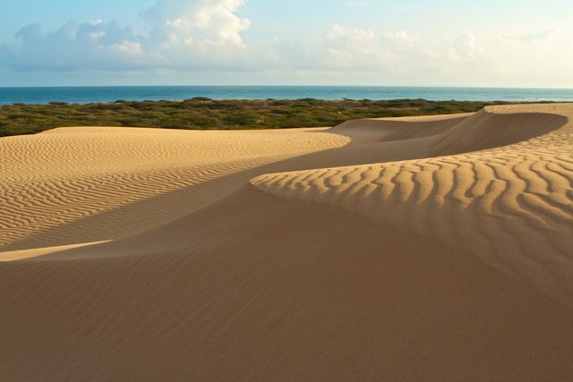 medanos_de_coto_inspirulina.jpg