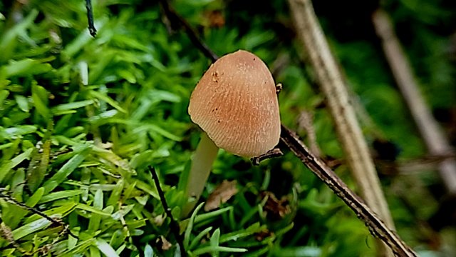 IMG_20250809_144451.jpg