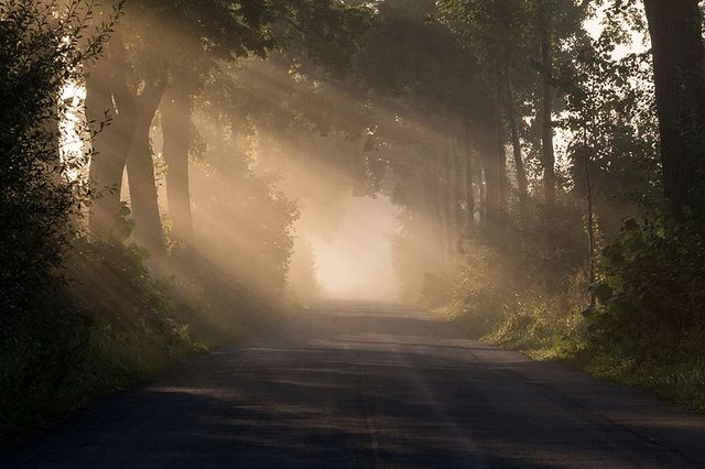 Dülmen,_Umland,_Sonnenaufgang_--_2012_--_8069.jpg