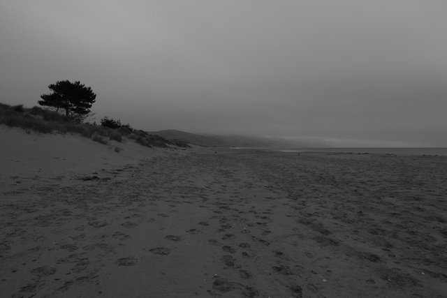 Limantour Beach Nightscape #5.jpg