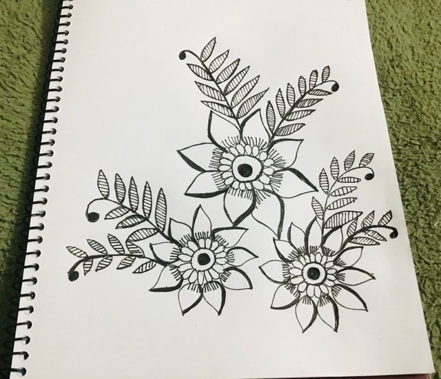 IMG_1130.jpeg
