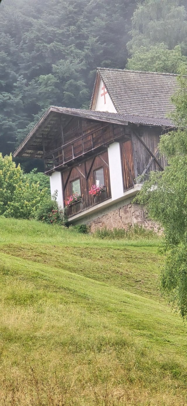 20250707_063652.jpg