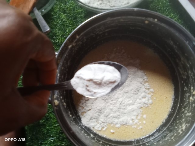 IMG20250816075550.jpg