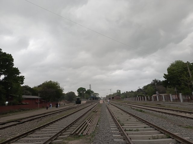 1000005411.jpg