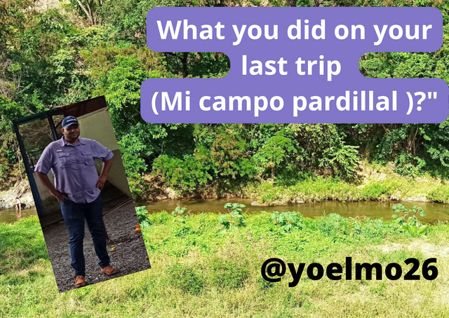 What you did on your last trip (Mi campo pardillal )_20230805_210240_0000.png