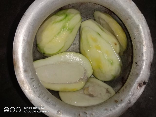 IMG_20250501_080750.jpg