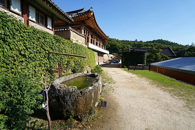 b-DSC08454.JPG