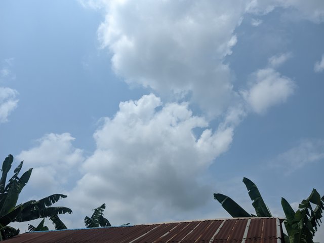 1000591984.jpg