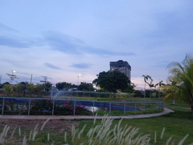 IMG_20250913_184555.jpg