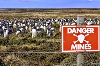 Ladang-Ranjau-Jadi-Habitat-Jutaan-Penguin.jpg