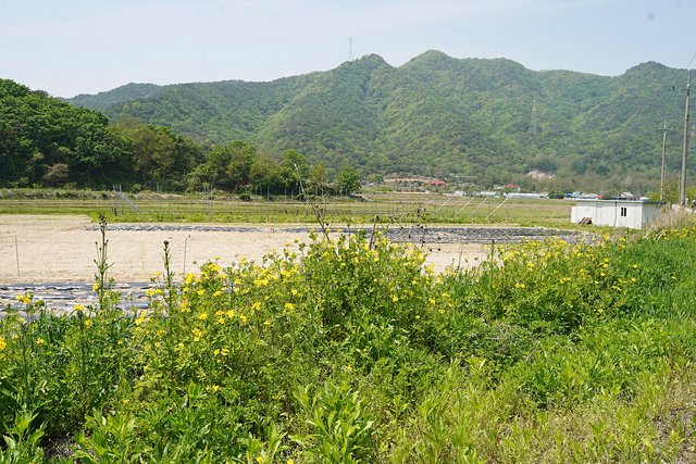 b-DSC01103.JPG
