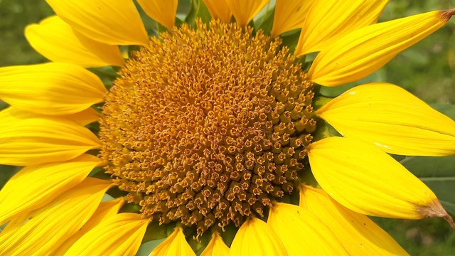 20210310_121314.jpg