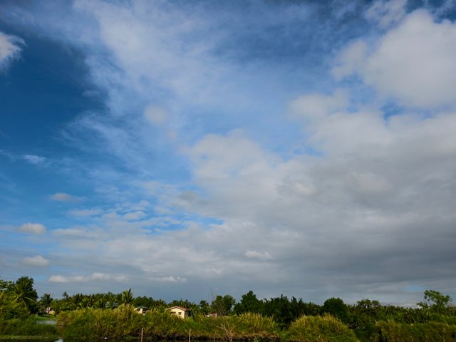 IMG_20250317_082023 (1).jpg