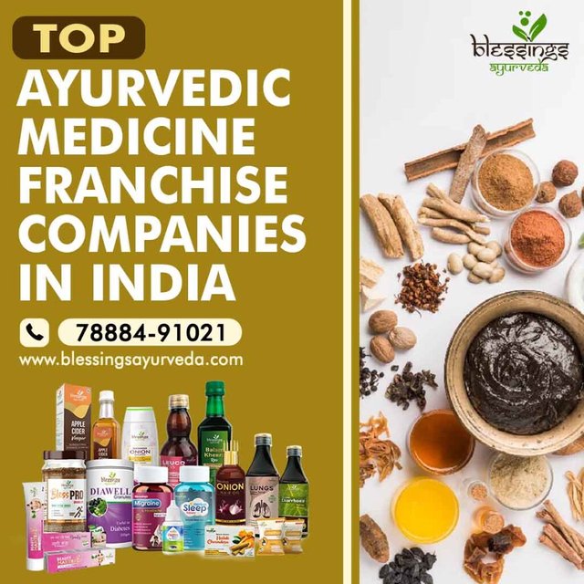 Top-Ayurvedic-Medicine-Franchise-Companies-in-India-1024x1024.jpg