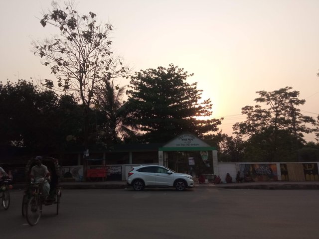 প্রকৃতি (2).jpg