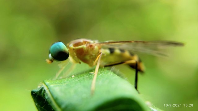 IMG_20210913_190149.jpg