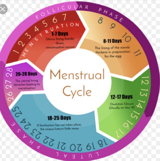 Complete study about menstruation 