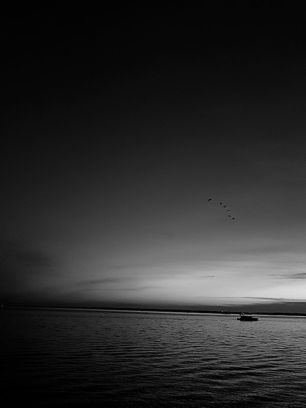 Port03 B&W-S.jpg