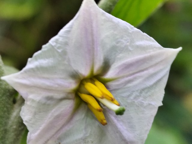 IMG_20250520_064549.jpg