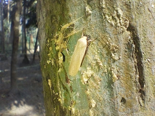 20240212_122446.jpg