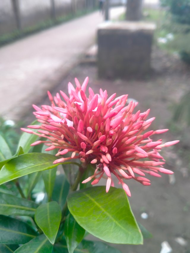 IMG20250726152356.jp