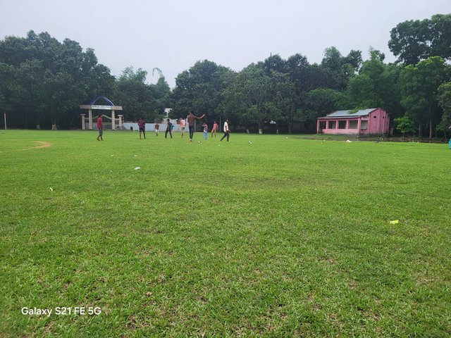 20250531_175800.jpg