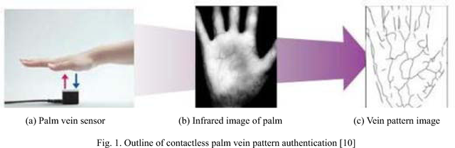 palm vein technology