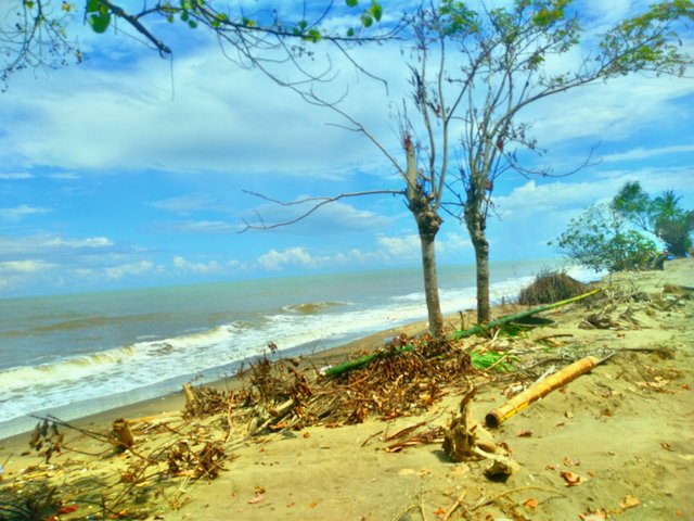 IMG_20241103_110759_HDR.jpg