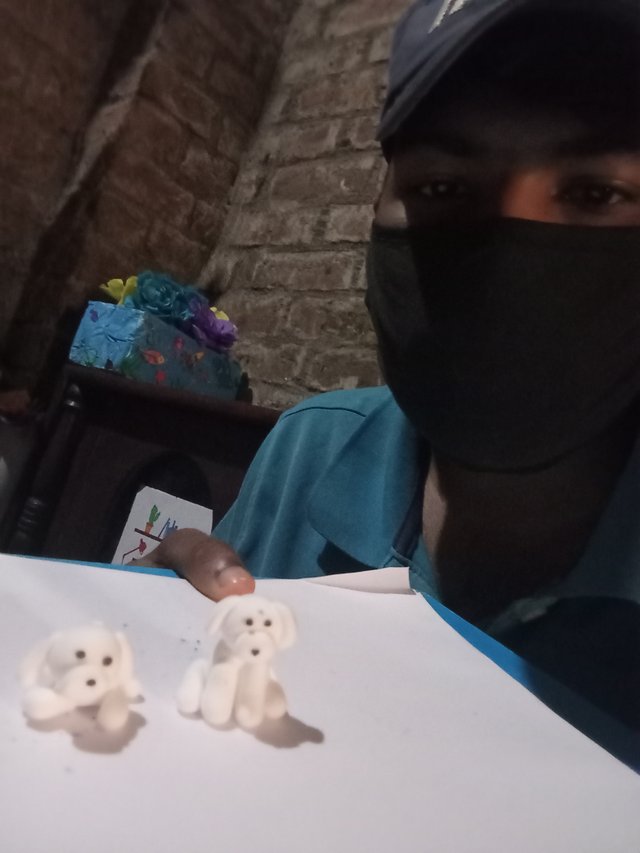 1000108241.jpg