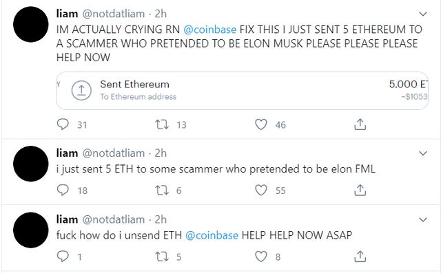 elonscam2.png