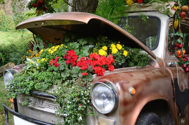 ecologie-bloemen-onder-de-kap-van-een-oude-auto-62552729.jpg