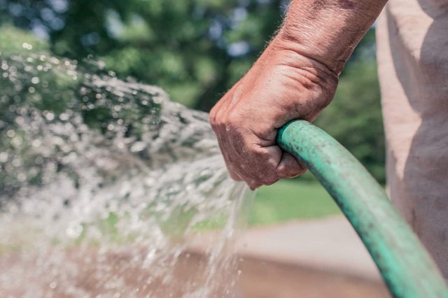 Gutter Cleaning Sydney - Flushed away