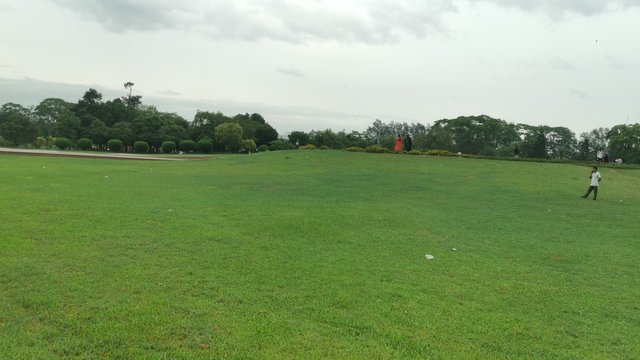 IMG_20240526_164836.jpg