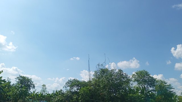 IMG_20240829_145447_7.jpg