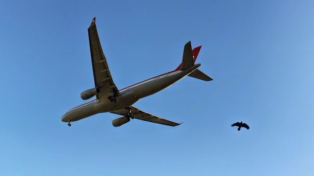 1000000465.jpg