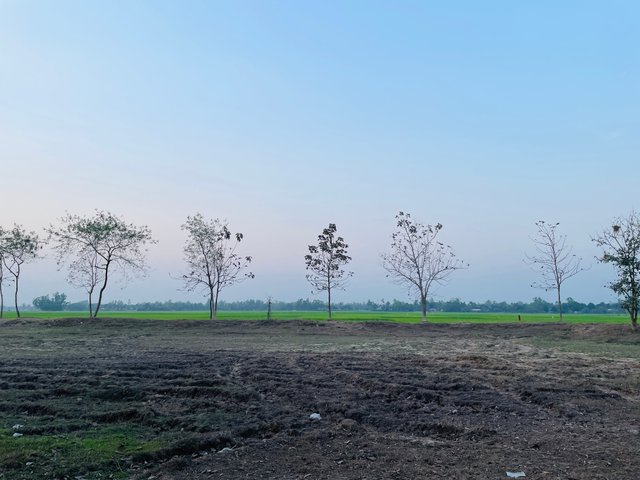 IMG_0334.jpeg