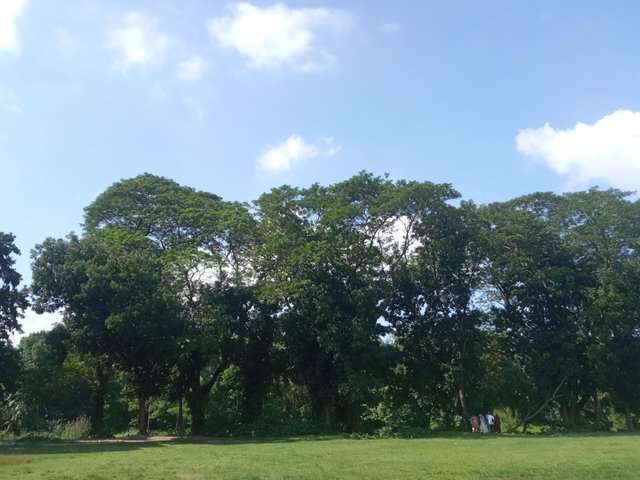 IMG_20250627_151359.jpg