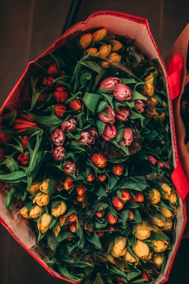 red-bag-with-beautiful-multicolored-delicate-tulips-1998899.jpg