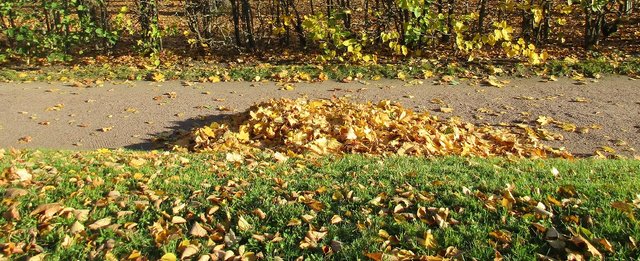 IMG_3935.JPG