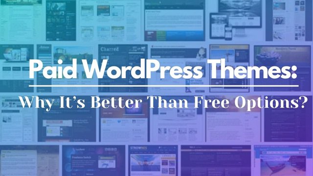Paid WordPress Themes_.jpg