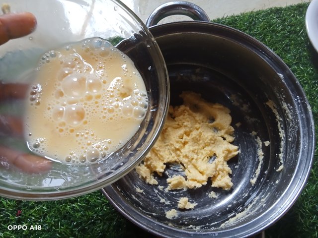 IMG20250816075128.jpg