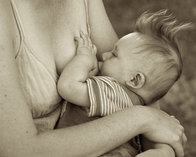 breastfeeding-2771225_960_720.jpg